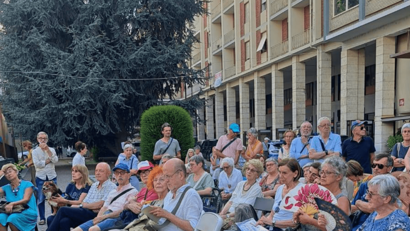 Uno dei dieci cedri di Piazza europa a Cuneo, e un incontro nell'estate 2025, in loro difesa (c) fonte Comitato Tutela Piazza Europa- Cuneo