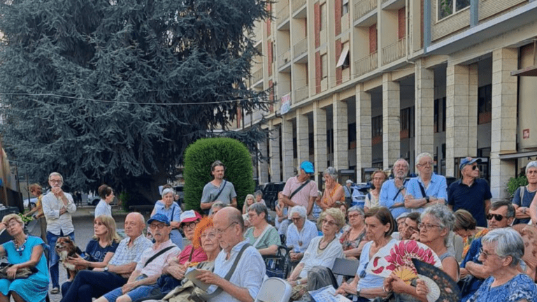 Uno dei dieci cedri di Piazza europa a Cuneo, e un incontro nell'estate 2025, in loro difesa (c) fonte Comitato Tutela Piazza Europa- Cuneo