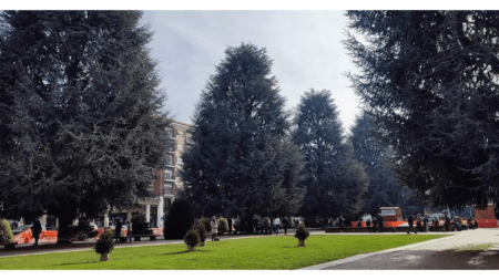 Piazza Europa con i cedri a Cuneo (c) Comitato Tutela Piazza Europa- Cuneo