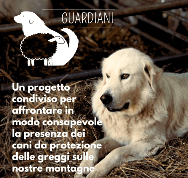 Estratto della locandina del progetto Guardiani