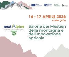NEXTALPINE BANNER NEW