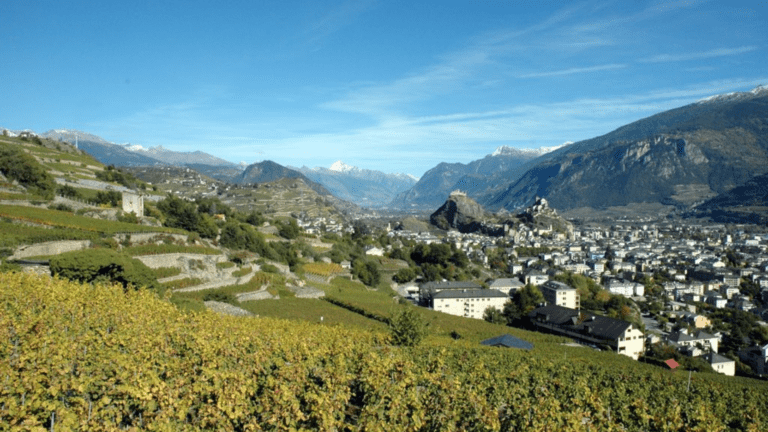 Sion et son vignoble, la Basilique de Valère et le Château de Tourbillon (c) CC BY SA 3_0 Valéry Héritier Wikipedia Commons