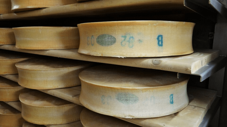 Beaufort, fontina e raclette: qual è la situazione di questi tre formaggi protetti? meules de beaufort (c) CC BY-SA 4.0, Ibex73, Wikimedia Commons