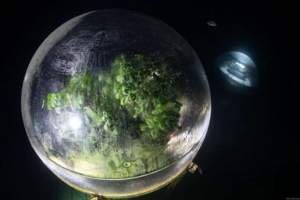 Le biosfere (c) Nemo’s Garden, Emilio Mancuso