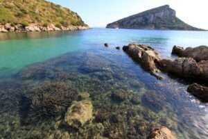 Golfo Aranci, uno dei borghi della Sardegna protagonista del volume “Bacche di ginepro” di Eleonora Luna D’Angelo; Golfo Aranci, l'un des villages de Sardaigne, protagoniste du livre « Les baies de genièvre » d'Eleonora Luna D'Angelo (c) CC BY-SA 3.0, Carlo Pelagalli, Wikimedia Commons