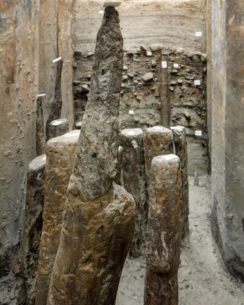 Etat de Vaud, serv. archéo, Corcelette, néo, 30 11