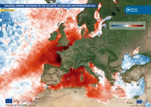 Le ondate di calore del mese di maggio nel Mar Mediterraneo, Les vagues de chaleur du mois de mai dans la Méditerranée (c) European Union, Copernicus Marine Service Data
