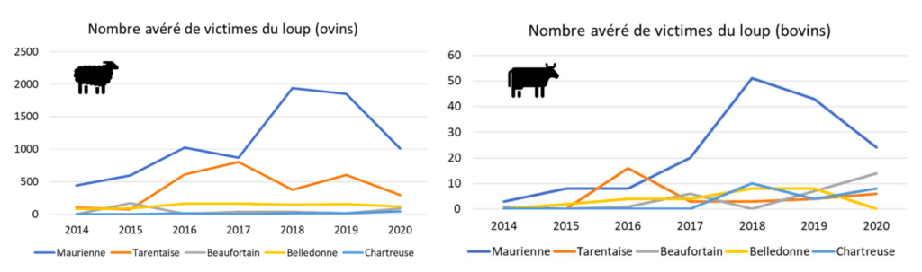 Estratto del Plan Pastoral Tarentaise Venoise 2022-2027, vittime della predazione (c) APTV