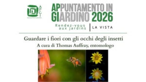Estratto dalla locandina Guardare con gli occhi degli insetti, giugno 2026