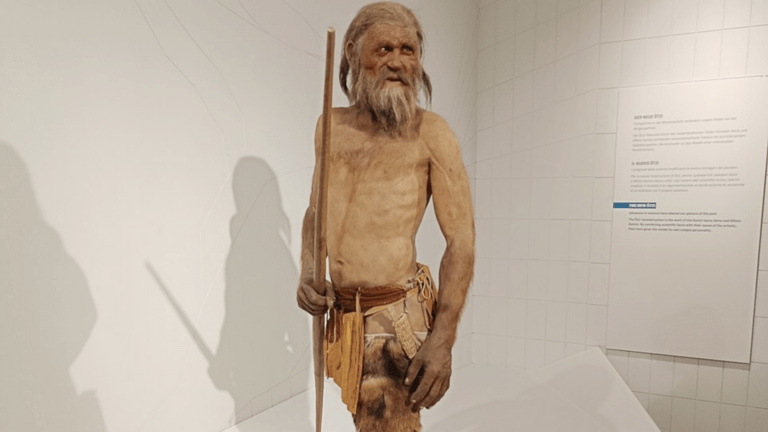 Ötzï, contexte historique /4 Ricostruzione di Ötzi (c) Mannivu, CC BY-SA 4.0 - Wikimedia Commons