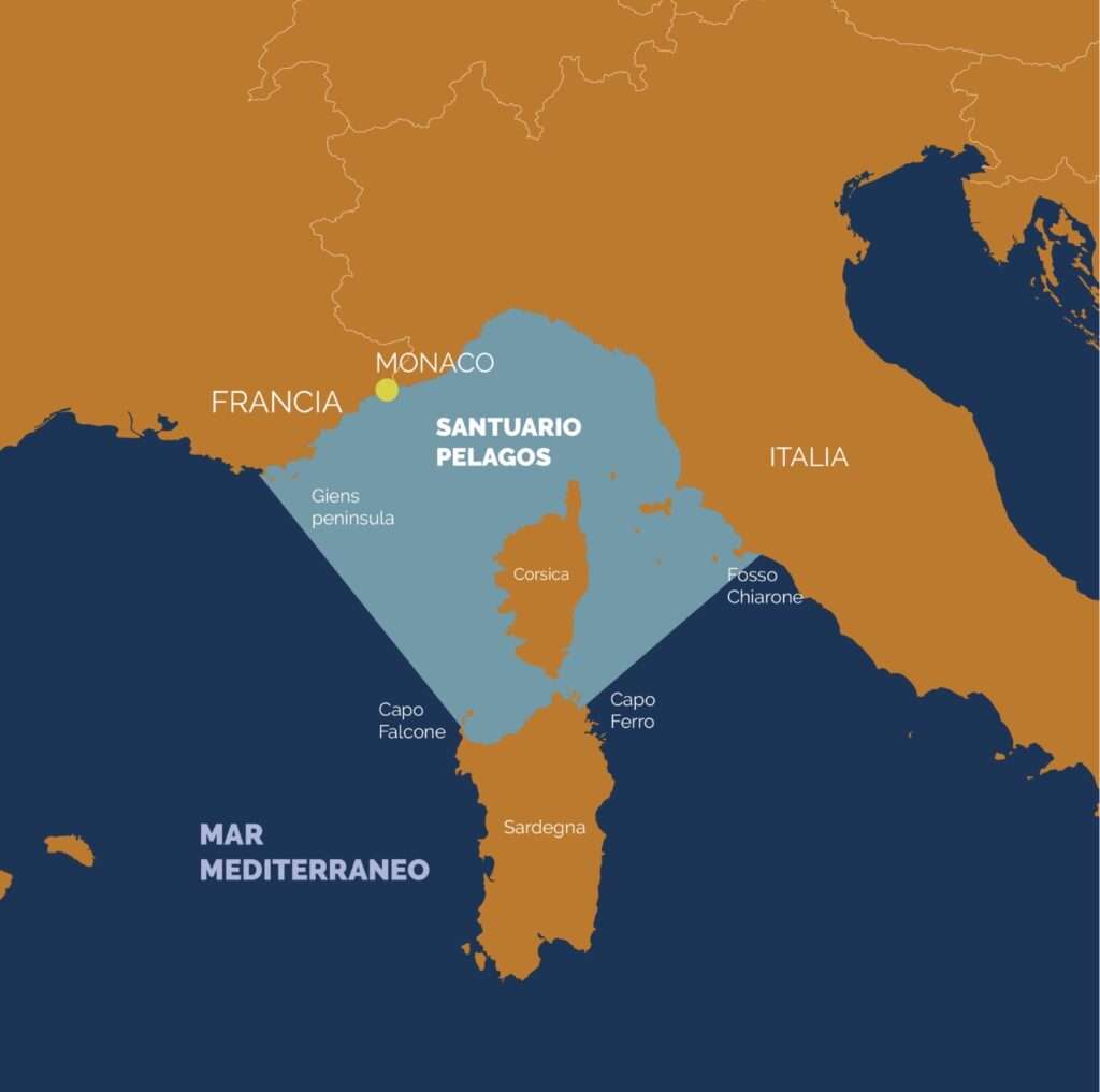 La mappa del Santuario Pelagos (c) Hélène Labach - MIRACETI, M. Costa - Tethys, Vincent Jacques - Drone de Regard