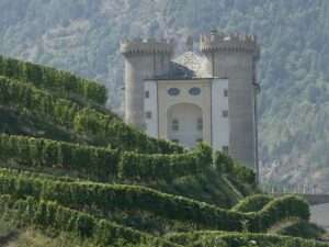 Vigne a Aymavilles, Valle d'Aosta / Vignes à Aymavilles, Vallée d'Aoste (c) https://commons.wikimedia.org/w/Jovienwik, Wikimedia Commons, CC-BY-SA 4.0