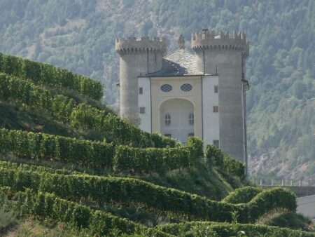 Vigne a Aymavilles, Valle d'Aosta / Vignes à Aymavilles, Vallée d'Aoste (c) https://commons.wikimedia.org/w/Jovienwik, Wikimedia Commons, CC-BY-SA 4.0