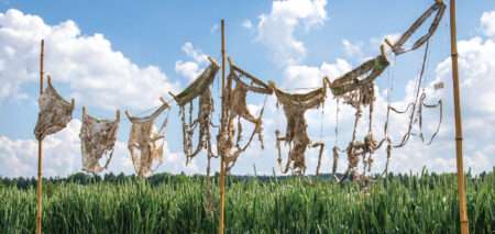 Il “Test delle mutande” svizzero per studiare il suolo, Le « test des sous-vêtements » suisse pour étudier le sol (c) Gabriela Braendle, Agroscope