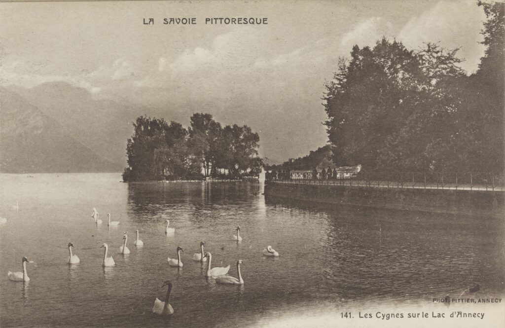 Les Cygnes sur le Lac d'Annecy : Auguste et Ernest Pittier. 1899