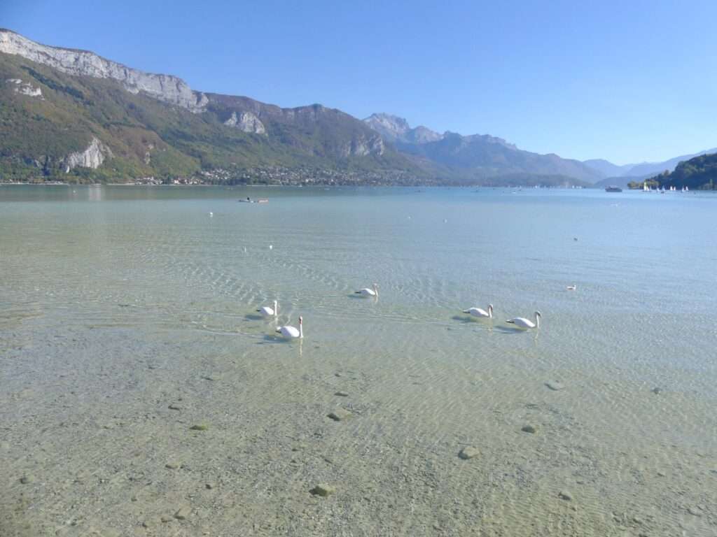 Il Lago di Annecy e la siccità del 2018, Le Lac d’Annecy et la sécheresse du 2018 (c) CC BY-SA 4.0, Florian Pépellin, Wikimedia Commons