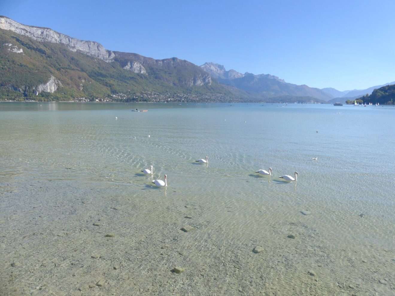 Il Lago di Annecy e la siccità del 2018, Le Lac d’Annecy et la sécheresse du 2018 (c) CC BY-SA 4.0, Florian Pépellin, Wikimedia Commons