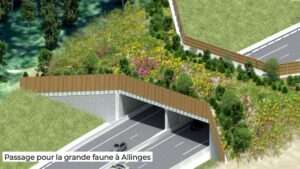 Uno dei corridoi ecologici previsti per la autostrada A412